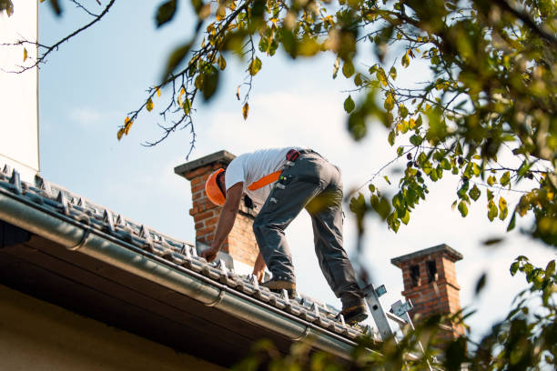 Best Roof Replacement Cost  in Califon, NJ